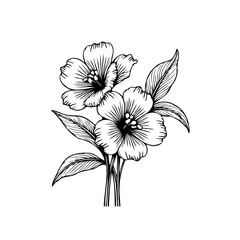 Elegant floral illustration displaying delicate blossoms and foliage in a classic black and white rendering design