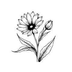 Elegant floral illustration featuring a blooming flower and bud with delicate leaves hand drawn style nature is beauty