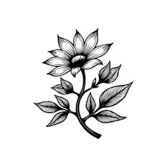 Detailed floral illustration: Artistic representation of a blooming flower with intricate leaf details and delicate stem design
