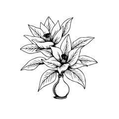Elegant floral arrangement featuring intricately detailed poinsettia flowers artfully placed within a decorative vase illustration