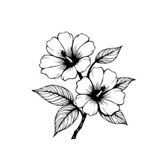 Elegant floral illustration: Hand-drawn hibiscus flowers and leaves in black and white for botanical design inspiration