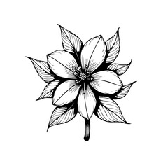 Elegant floral line art illustration showcasing delicate flower drawing and decorative design, perfect for backgrounds and creative projects