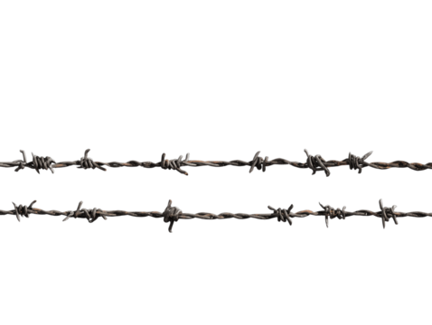 A close-up captures the starkness of barbed wire, its sharp barbs silhouetted against the bright sky, isolated on a white background - Powered by Adobe