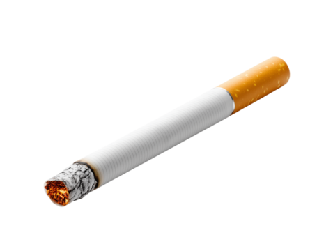 A studio shot captures the stark reality of a lit cigarette, with its burning ember and paper, isolated on a white background