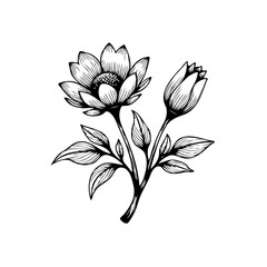 Elegant botanical illustration showcasing delicate flower blossom and bud in a minimalist monochrome design with aesthetic appeal