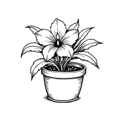 Elegant hand drawn floral illustration showcasing a potted plant with blooming flower in monochrome style