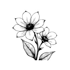 Elegant floral botanical illustration showcasing detailed black and white flower drawing with delicate petals and leaves