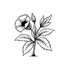 Elegant botanical illustration showcasing a blooming flower with leaves and buds in detailed monochrome drawing
