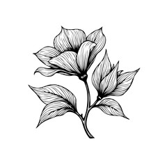 Elegant botanical illustration showcases a beautiful flower with intricately drawn petals and leaves line art design