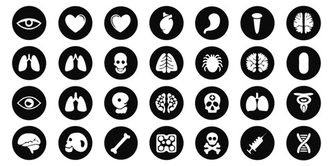 Anatomical and medical icons including heart, lungs, skull, and dna are isolated on white background