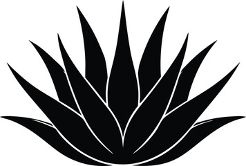  aloe vera plant silhouette line art