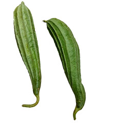 a pair of fresh ridge gourd isolated on a white background