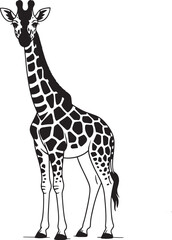 Naklejka premium Tall giraffe with black spots standing animal wildlife