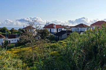 Trek à Madère 2025 - Jour 4 (Lombo do Urzal, levada Dos Tornos, Lamaceiros, Solar da Boaventura)