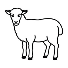 sheep isolated on white background