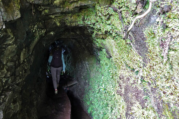 Trek à Madère 2025 - Jour 4 (Lombo do Urzal, levada Dos Tornos, Lamaceiros, Solar da Boaventura)