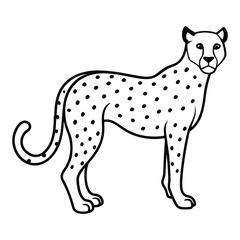 vector illustration of a leopard