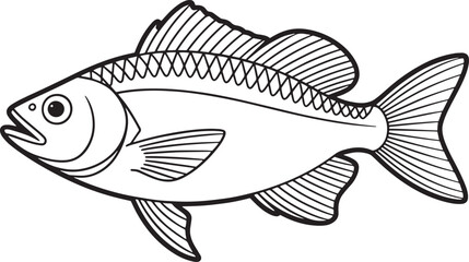 Fototapeta premium Black and white drawing of a fish with fins and tail outline