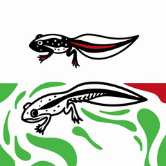 Tadpole to Frog Transformation Illustration