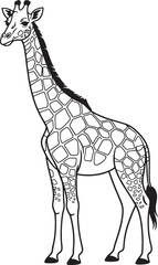Black and white giraffe illustration animal wildlife