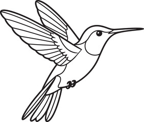 Obraz premium Black and white illustration of a hummingbird in flight flying wings