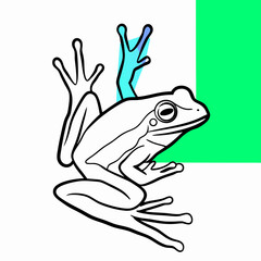 Line Art Illustration of a Frog with Blue Accents