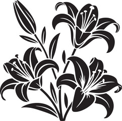 Black and white lily flower vector art floral design botanical illustration
