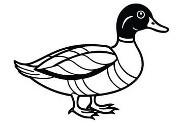Cartoon Mallard Duck Illustration Black Outline of Aquatic Bird Standing Still