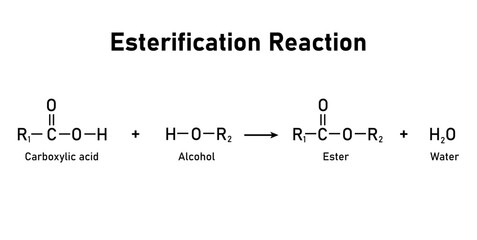 Esterification Reaction in Chemistry. Carboxylic Acid, Alcohol, Ester and Water.