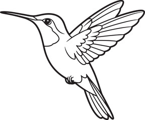 Obraz premium Hummingbird in flight with detailed wings and beak flying