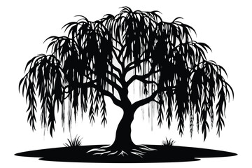 Black Silhouette of a Weeping Willow Tree with Overhanging Branches and Grass Tufts © kanchanrani