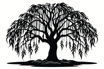 Silhouette of Weeping Willow Tree with Dense Branches and Hanging Leaves Illustration