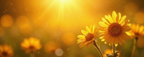 Obraz premium Golden honeycomb overflows with honey, sunlight glints on wildflowers , honey, background, meadow
