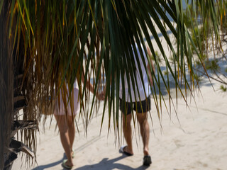 couple, partially obscured by green and brown palm fronds, walks hand-in-hand on a sunny, paved...