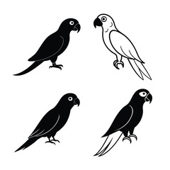 Obraz premium silhouette Parrot