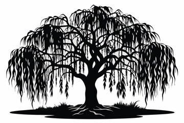 Silhouette of Weeping Willow Tree with Grass and Roots on a Plain Background © kanchanrani