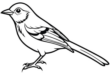 Detailed Line Art Illustration of a Sparrow Bird with Exquisite Feather Detailing