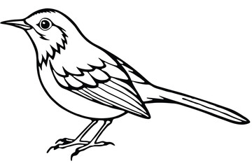 Line art illustration of a small bird perched with distinct wing feather details