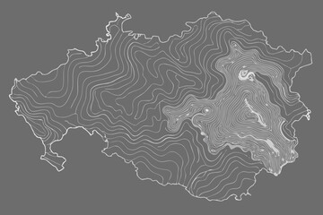 Abstract Topographic Map Illustration with Contour Lines on a Gray Background