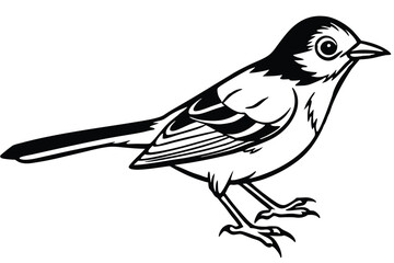 Line Art Illustration of a Bird Black and White Passerine Bird Depiction