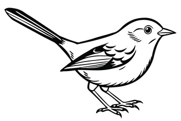 Black and White Illustration of a Small Bird Standing with a Long Tail