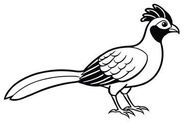 Cartoon Black and White Illustration of a Crested Bird with Long Tail