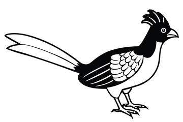 Black and White Illustration of a Crested Bird with Long Tail Feathers