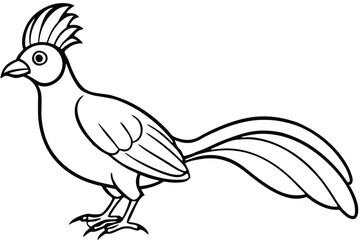 Outlined Bird with Crest, Long Tail Feathers, and Sharp Claws Standing