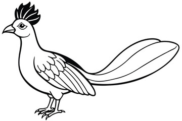 Outlined Illustration of a Pheasant with Distinct Feathers and Crested Head Design