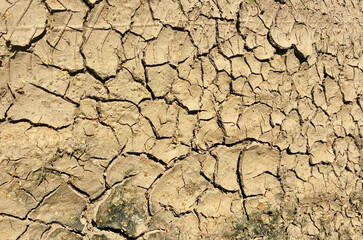 Cracked parched dehydrated soil, drought, eco problem, climate cracks.