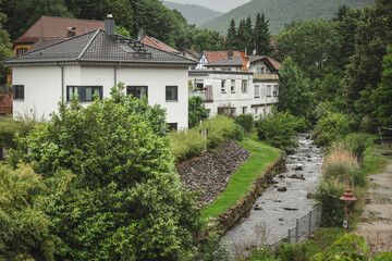 Misty Rainy Day by the River in Neckarsteinach