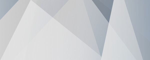 Obraz premium White modern abstract wide banner with geometric shapes. white abstract background.