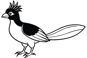 Black and White Cartoon Roadrunner with Crest Standing Upright Illustration Design Graphic