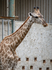 ホーチミンのサイゴン動植物園